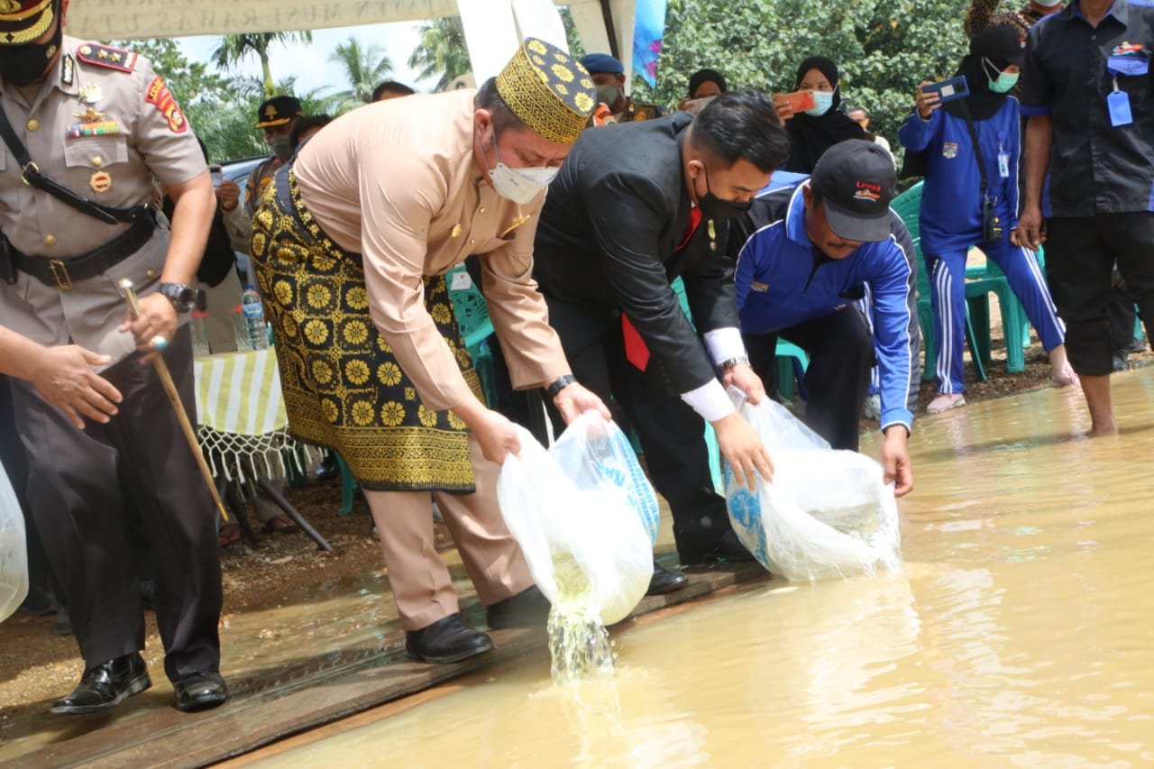 Penebaran  puluhan ribu benih  ikan jelawat dan ikan nilam  di aliran  Sungai Rawas Desa Lawang Agung Kecamatan Rupit Kabupaten Muratara, Selasa (29/6) siang.