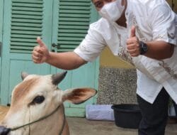 PLN Tebarkan Kebaikan Dengan Semangat Berkurban