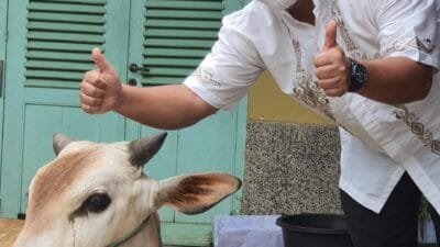 PLN Tebarkan Kebaikan Dengan Semangat Berkurban