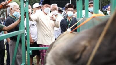 Herman Deru Apresiasi  Alat Potong Hewan Kurban, Inovasi Warga Talang Gading Kalidoni