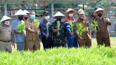 Pertamina PHR Pendopo Lakukan Penanaman Padi Perdana