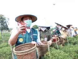 Gerakan Sumsel Mandiri Pangan Inisiasi Gubernur Herman Deru Segera  Diluncurkan