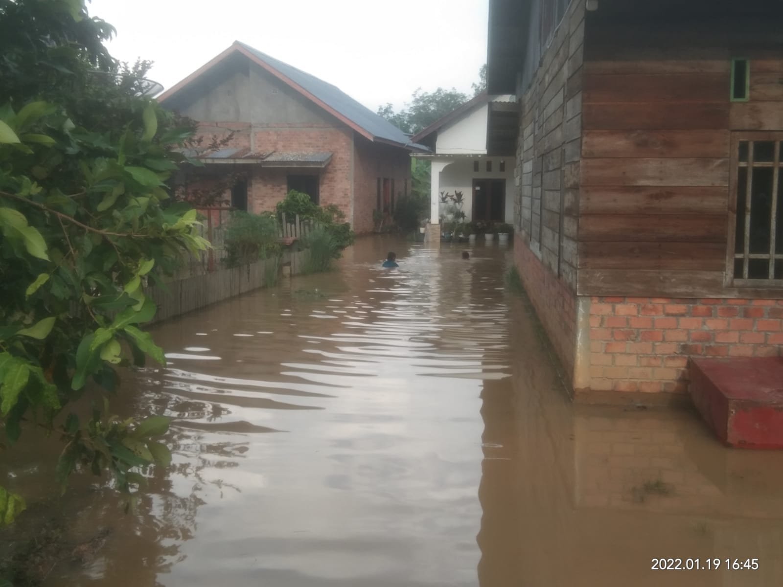 Daerah Rejosari RT/RW 28/06 Kelurahan Talang Ubi , Kabupaten Penukal Abab Lematang Ilir (PALI), Sum-Sel