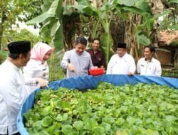 Angka kemiskinan di Sumatra Selatan turun.