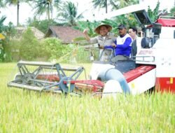 Herman Deru  Salurkan Bantuan Sarana Produksi Pertanian 