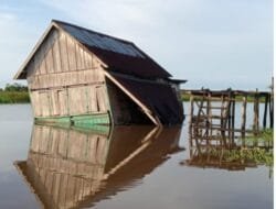 Akibat Hujan Deras, Satu Rumah di Kertapati Ambruk
