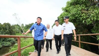 Gubernur Herman Deru : Mimpi Warga Desa Saluran Banyuasin Selama 30 Tahun untuk Nikmati Listrik Segera Menjadi Kenyataan