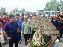 Herman Deru Yakin Kontes Bonsai dan Lomba Burung Berkicau Geliat Ekonomi Masyarakat OKU Timur