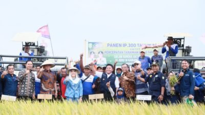 Gubernur Herman Deru Serahkan Bantuan Pertanian dari Pemkab OKU Timur 