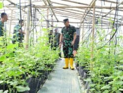 Agrowisata Tekno 44, Wujudkan “TNI AD Bersama Rakyat Bersatu Dengan Alam Untuk NKRI