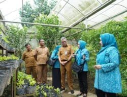 Edukasi Masyarakat Tekan Inflasi, Pj Ketua TP PKKK Sumsel Tyas Fatoni Panen Sayur di Kitchen Garden JSC Palembang