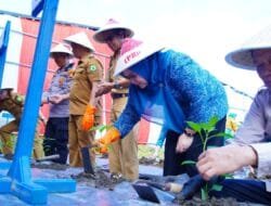 Peringati HKG Ke-52, TP-PKK Muba Ikut Penanaman 500 Bibit Cabai  Virtual