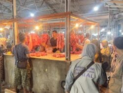 Kampanye Wajib Halal 2024, Satgas Halal Sumsel Lakukan Pengawasan Rumah Potong Hewan