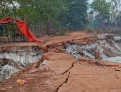 Tata Niaga Timah Semrawut, Astrada Beltim Desak Pemda Masalah Tambang Rakyat