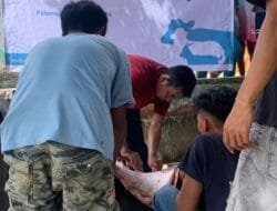 Peringati Hari Raya Idul Adha, Yayasan Baitul Maal PLN UID S2JB Bagikan Lebih Dari 400 Paket Daging untuk Kaum Dhuafa
