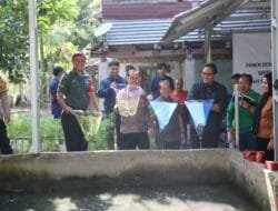 Perluas Lapangan Kerja, Bukit Asam (PTBA) Dorong Budidaya Ikan Gabus di Desa Tanjung Agung