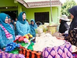 PKK Sumsel Dorong PKK Ogan Ilir Tingkatkan Kesejahteraan Keluarga 