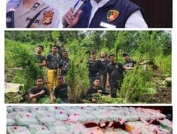 Ungkap Narkoba di Semester I 2024, Polda Sumsel Selamatkan 2,2 Juta Jiwa