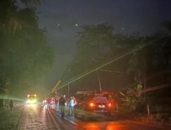 PLN Gerak Cepat Atasi Dampak Cuaca Ekstrem di Jambi: Pemulihan Aliran Listrik Diatasi Kurang dari 24 Jam