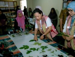 Srikandi Walkdown Leader PLN Kunjungi Lubuk Linggau, Perkuat Komitmen Pemberdayaan Perempuan dalam Program ESG