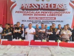 Tim Gabungan Gagalkan Penyelundupan 237.305 Benih Bening Lobster di Perairan Bintan