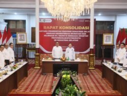 Pj Gubernur Sumsel dan Wamen Investasi Gelar Rapat Konsolidasi dengan Dinas PTSP se-Sumsel