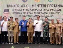 Optimalkan Lahan Sawah, Sumsel Siap Tingkatkan Swasembada Pangan