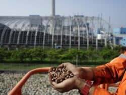 PLN Raih 3 Penghargaan Investing on Climate Editor’s Choice Award 2024