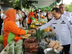 Pj Gubernur Sumsel Elen Setiadi Pastikan Stok Pangan Aman Jelang Nataru
