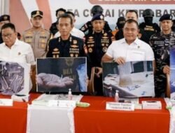 Upaya Tegas Gagalkan Penyelundupan 151.000 Benih Lobster di Kepulauan Riau