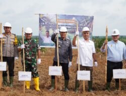 Lahan PSR di OKI Ditanami Padi Gogo, Dukung Swasembada Pangan Prabowo