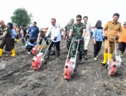 Penanaman Jagung Serentak Satu Juta Hektar di Ogan Ilir, Dukung Swasembada Pangan 2025