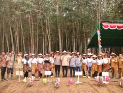 Pj Bupati dan Kapolres OKI Tanam Jagung Serentak