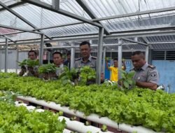 Komitmen Program Ketahanan Pangan, Karutan Kelas I Palembang Tinjau Panen Sayur Hidroponik