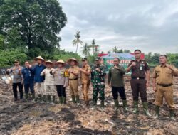 Sinergi dengan Polres Muara Enim, Bukit Asam Turut Mendukung Penanaman Jagung Serentak