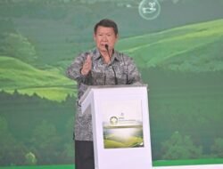 Di Forum ESG, Hashim Apresiasi Peran Aktif Perdagangan Karbon Indonesia, Terbesar dari PLN