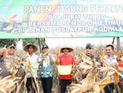 Bupati OKU Timur Hadiri Panen Raya Perdana Jagung di Desa Sabalio, Bunga Mayang