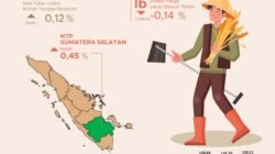 NTP Sumsel Januari 2025 Naik 0,45 Persen, Kenaikan di Semua Subsektor