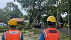 Tuntaskan Gangguan, PLN UP3 Lahat Perbaiki Jaringan Listrik Sambut Ramadhan