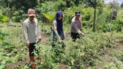 Polsek Rambang Pastikan Keberlanjutan Program Ketahanan Pangan di Muara Enim