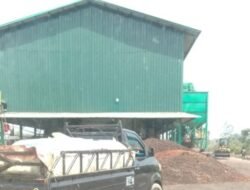 Diduga Cemari Sungai, Limbah Pabrik PT Anugrah Palma Dikeluhkan Warga Sebokor