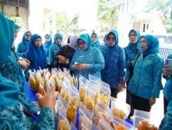 Optimalkan Program Kerja, Ketua TP PKK Muba Hj Patimah Toha Lakukan Pembinaan 10 Program Pokok PKK