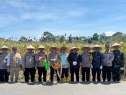 Polres OKU Selatan Turut Sukseskan Panen Raya Jagung, Wujud Nyata Dukung Ketahanan Pangan Nasional
