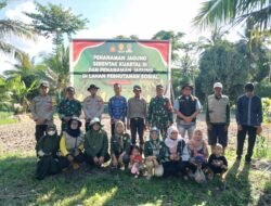 Polsek SP Padang dan TRIPIKA Tanam Jagung Serentak Dukung Ketahanan Pangan