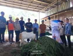Medco E&P Dorong Ekonomi Desa Lewat Pembinaan Peternakan Kambing di Bangun Sari