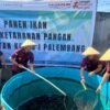 Rutan Palembang Panen Lele, Dorong Kemandirian dan Ketahanan Pangan Warga Binaan
