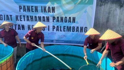 Rutan Palembang Panen Lele, Dorong Kemandirian dan Ketahanan Pangan Warga Binaan