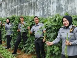 Warga Binaan Panen Sayur di Rutan Palembang