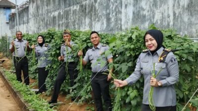 Warga Binaan Panen Sayur di Rutan Palembang