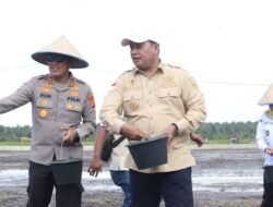 Karang Agung Ilir Jadi Pilot Project Benih IP 300 di Banyuasin